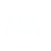 Plus Dane – Implementation Support