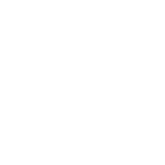 Rochdale Boroughwide Housing – Strategic Data Review